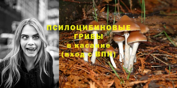экстази Аркадак